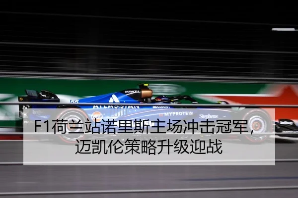 F1荷兰站诺里斯主场冲击冠军，迈凯伦策略升级迎战