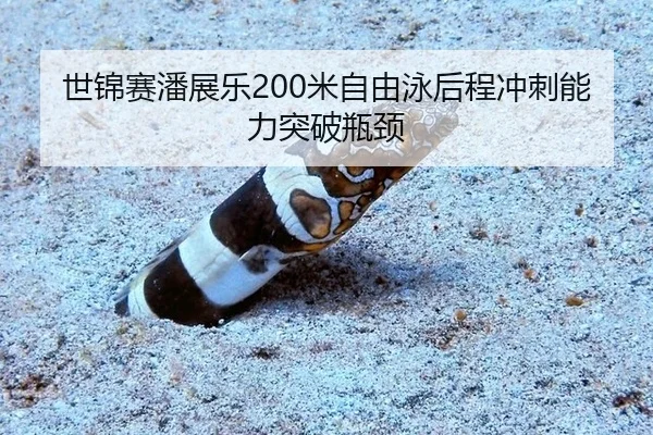 世锦赛潘展乐200米自由泳后程冲刺能力突破瓶颈