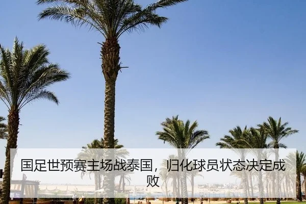 guo-zu-shi-yu-sai-zhu-chang-zhan-tai-guo-gui-hua-qiu-yuan-zhuang-tai-jue-ding-cheng-bai-3-597.jpg
