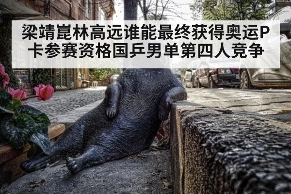 梁靖崑林高远谁能最终获得奥运P卡参赛资格国乒男单第四人竞争