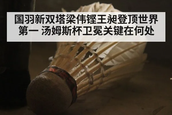 国羽新双塔梁伟铿王昶登顶世界第一 汤姆斯杯卫冕关键在何处