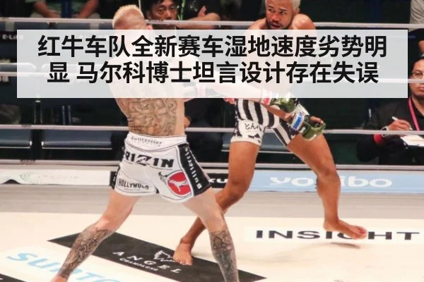 红牛车队全新赛车湿地速度劣势明显 马尔科博士坦言设计存在失误